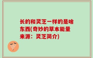 长的和灵芝一样的是啥东西(奇妙的草本能量来源：灵芝简介)