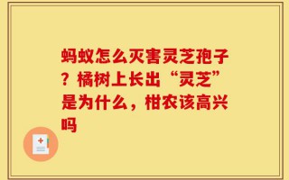 蚂蚁怎么灭害灵芝孢子？橘树上长出“灵芝”是为什么，柑农该高兴吗