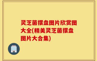 灵芝菌摆盘图片欣赏图大全(精美灵芝菌摆盘图片大合集)