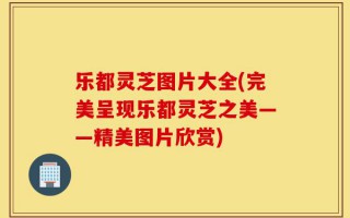 乐都灵芝图片大全(完美呈现乐都灵芝之美——精美图片欣赏)