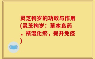 灵芝枸岁的功效与作用(灵芝枸岁：草本良药，祛湿化瘀，提升免疫)