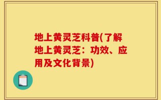 地上黄灵芝科普(了解地上黄灵芝：功效、应用及文化背景)