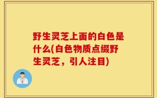 野生灵芝上面的白色是什么(白色物质点缀野生灵芝，引人注目)