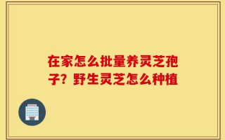 在家怎么批量养灵芝孢子？野生灵芝怎么种植