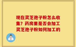 现在灵芝孢子粉怎么收集？药房里是否会加工灵芝孢子粉如何加工的