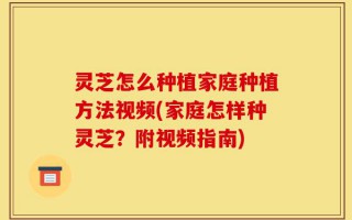 灵芝怎么种植家庭种植方法视频(家庭怎样种灵芝？附视频指南)