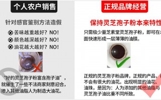 灵芝孢子粉什么牌子最好？