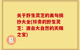关于野生灵芝的美句摘抄大全(珍贵的野生灵芝：源自大自然的天赐之宝)