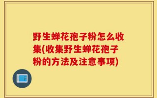 野生蝉花孢子粉怎么收集(收集野生蝉花孢子粉的方法及注意事项)