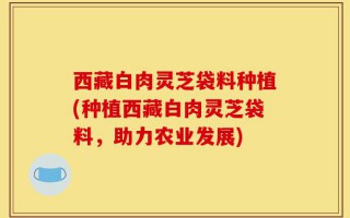 西藏白肉灵芝袋料种植(种植西藏白肉灵芝袋料，助力农业发展)