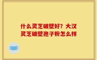 什么灵芝破壁好？大汉灵芝破壁孢子粉怎么样