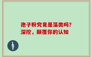 孢子粉究竟是藻类吗？深挖，颠覆你的认知