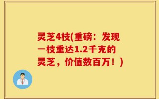 灵芝4枝(重磅：发现一枝重达1.2千克的灵芝，价值数百万！)