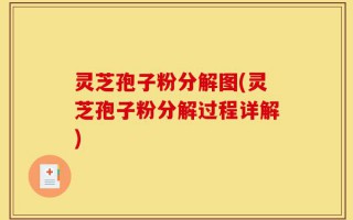 灵芝孢子粉分解图(灵芝孢子粉分解过程详解)