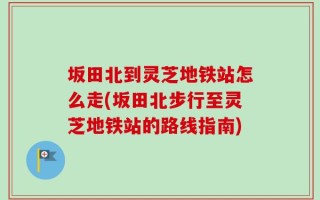坂田北到灵芝地铁站怎么走(坂田北步行至灵芝地铁站的路线指南)