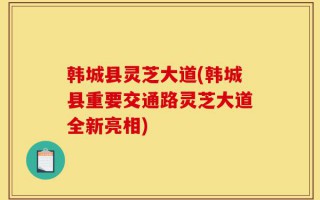 韩城县灵芝大道(韩城县重要交通路灵芝大道全新亮相)