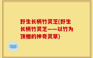 野生长柄竹灵芝(野生长柄竹灵芝——以竹为顶棚的神奇灵草)