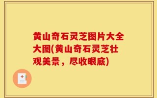 黄山奇石灵芝图片大全大图(黄山奇石灵芝壮观美景，尽收眼底)