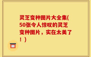 灵芝变种图片大全集(50张令人惊叹的灵芝变种图片，实在太美了！)