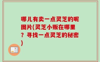 哪儿有卖一点灵芝的呢图片(灵芝小贩在哪里？寻找一点灵芝的秘密)