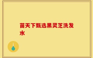 苗天下甄选黑灵芝洗发水