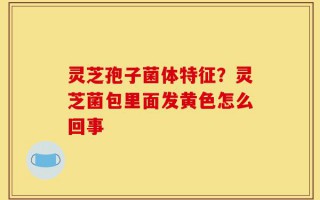 灵芝孢子菌体特征？灵芝菌包里面发黄色怎么回事