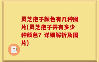 灵芝孢子颜色有几种图片(灵芝孢子共有多少种颜色？详细解析及图片)