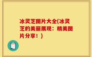 冰灵芝图片大全(冰灵芝的美丽展现：精美图片分享！)