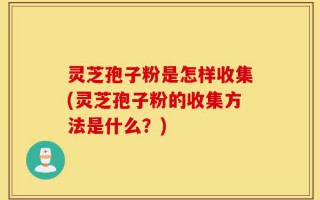 灵芝孢子粉是怎样收集(灵芝孢子粉的收集方法是什么？)