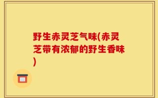 野生赤灵芝气味(赤灵芝带有浓郁的野生香味)