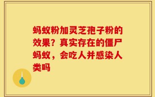 蚂蚁粉加灵芝孢子粉的效果？真实存在的僵尸蚂蚁，会吃人并感染人类吗