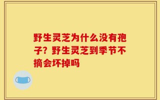 野生灵芝为什么没有孢子？野生灵芝到季节不摘会坏掉吗