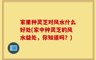 家里种灵芝对风水什么好处(家中种灵芝的风水益处，你知道吗？)
