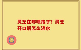 灵芝在哪喷孢子？灵芝开口后怎么浇水