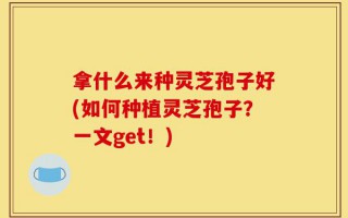 拿什么来种灵芝孢子好(如何种植灵芝孢子？一文get！)