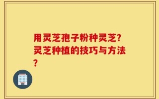 用灵芝孢子粉种灵芝？灵芝种植的技巧与方法？
