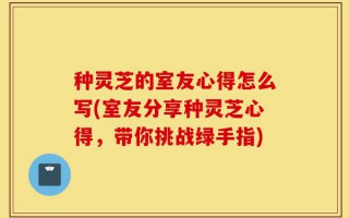 种灵芝的室友心得怎么写(室友分享种灵芝心得，带你挑战绿手指)