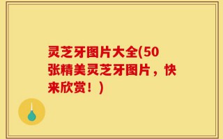 灵芝牙图片大全(50张精美灵芝牙图片，快来欣赏！)