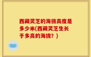 西藏灵芝的海拔高度是多少米(西藏灵芝生长于多高的海拔？)