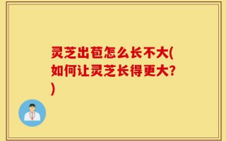 灵芝出苞怎么长不大(如何让灵芝长得更大？)