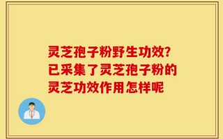 灵芝孢子粉野生功效？已采集了灵芝孢子粉的灵芝功效作用怎样呢
