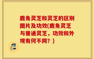鹿角灵芝和灵芝的区别图片及功效(鹿角灵芝与普通灵芝，功效和外观有何不同？)