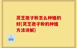 灵芝孢子粉怎么种植的好(灵芝孢子粉的种植方法详解)
