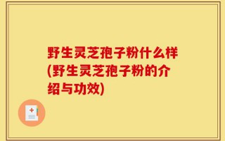 野生灵芝孢子粉什么样(野生灵芝孢子粉的介绍与功效)
