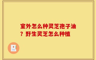室外怎么种灵芝孢子油？野生灵芝怎么种植