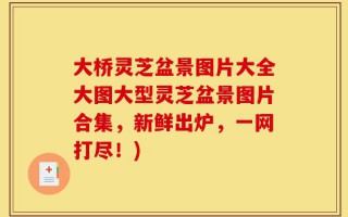 大桥灵芝盆景图片大全大图大型灵芝盆景图片合集，新鲜出炉，一网打尽！)