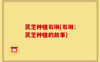 灵芝种植石琳(石琳：灵芝种植的故事)