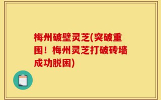 梅州破壁灵芝(突破重围！梅州灵芝打破砖墙成功脱困)
