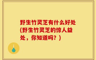野生竹灵芝有什么好处(野生竹灵芝的惊人益处，你知道吗？)
