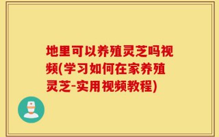地里可以养殖灵芝吗视频(学习如何在家养殖灵芝-实用视频教程)
